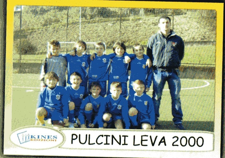 pulcini 2000