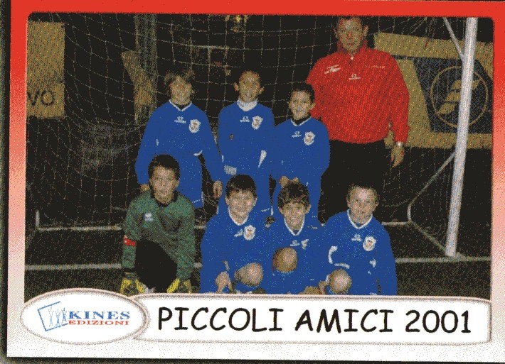 pulcini 2001